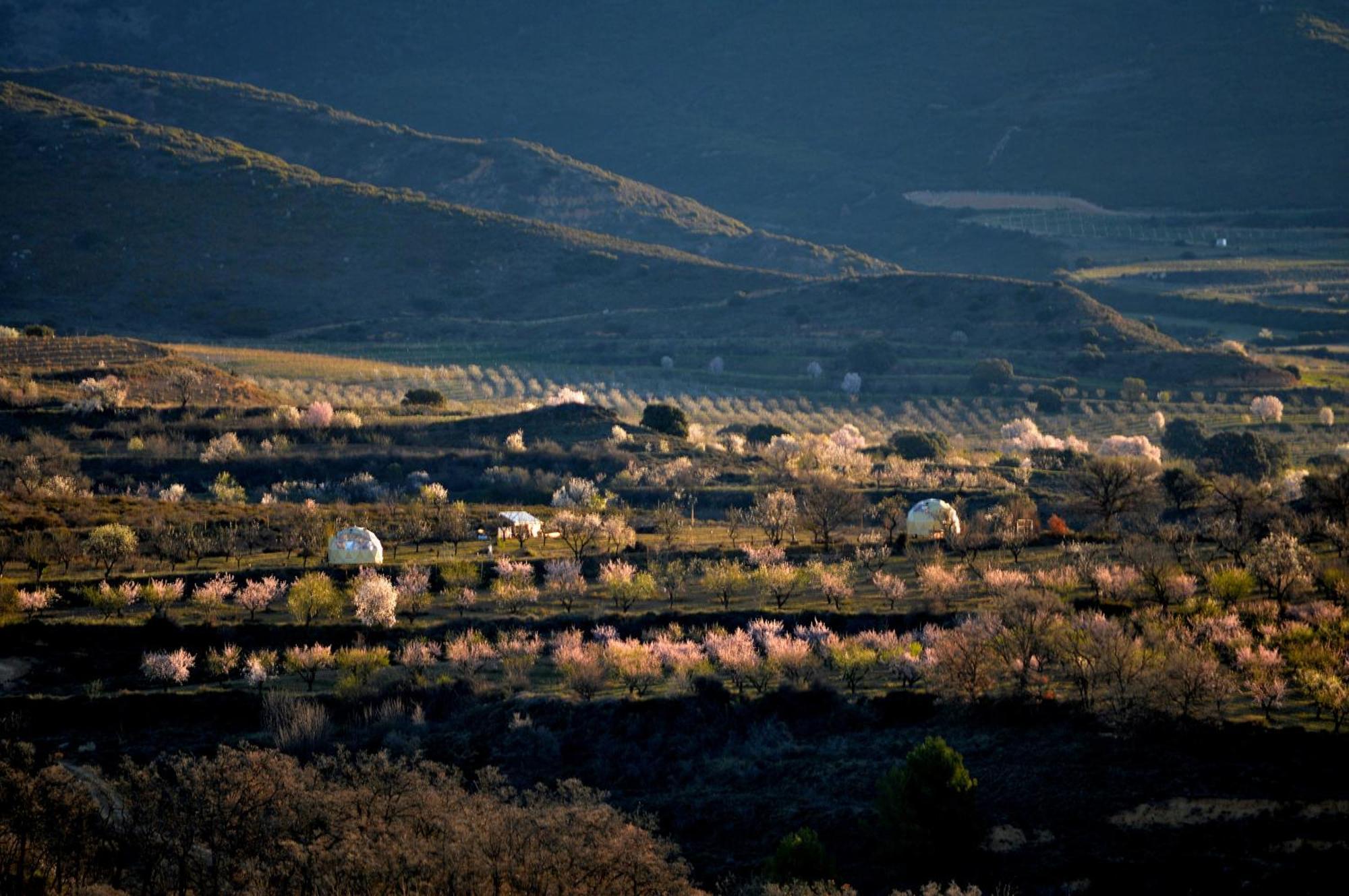 Mirador De Pideago - Gratal Y Nabiella Ξενοδοχείο Bolea Εξωτερικό φωτογραφία